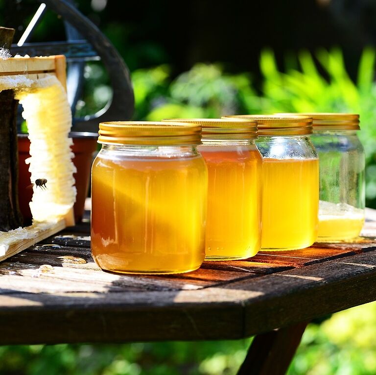 honey-352205_1280